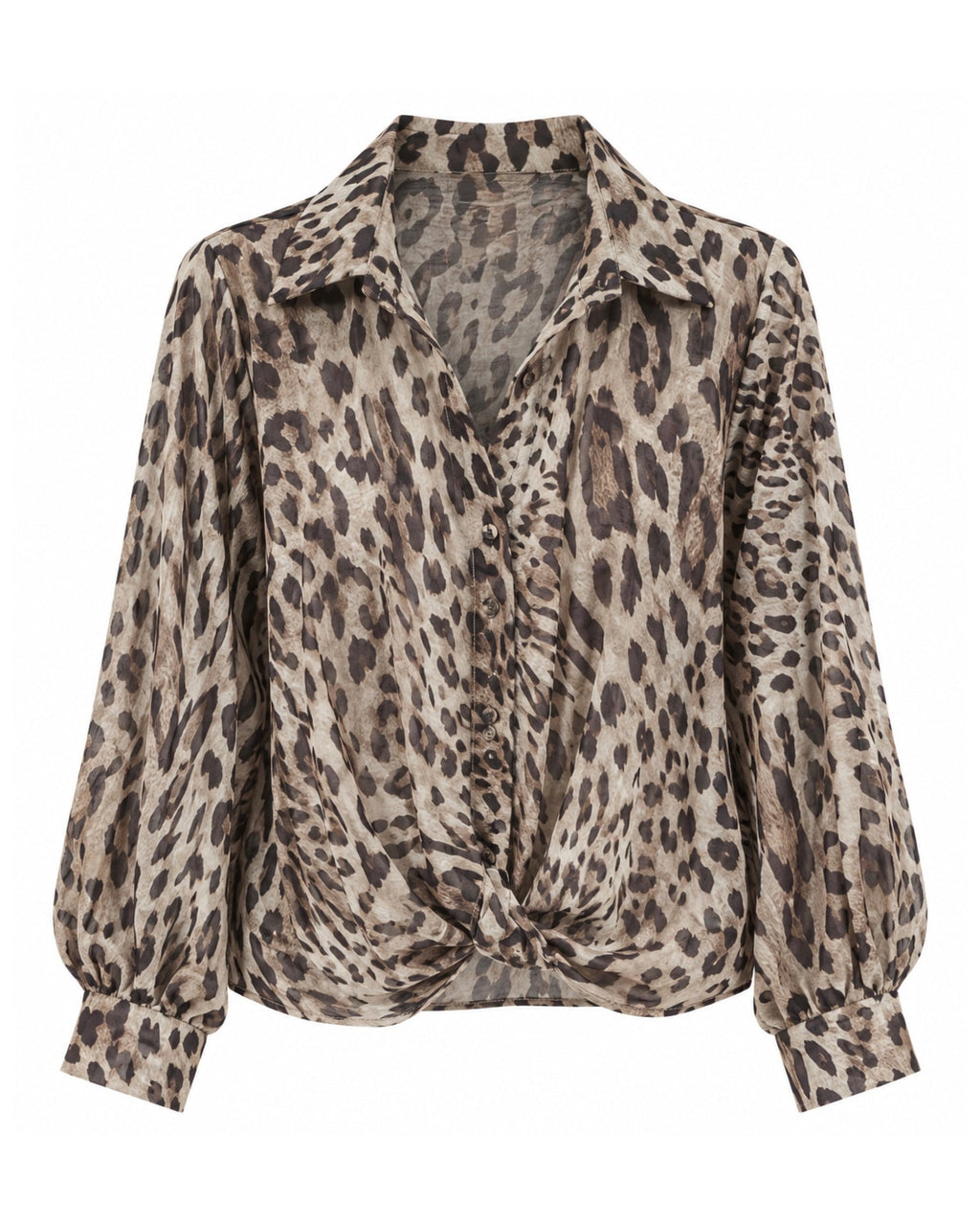 Blouse Dani Luipaard Dessin - Peet kleding