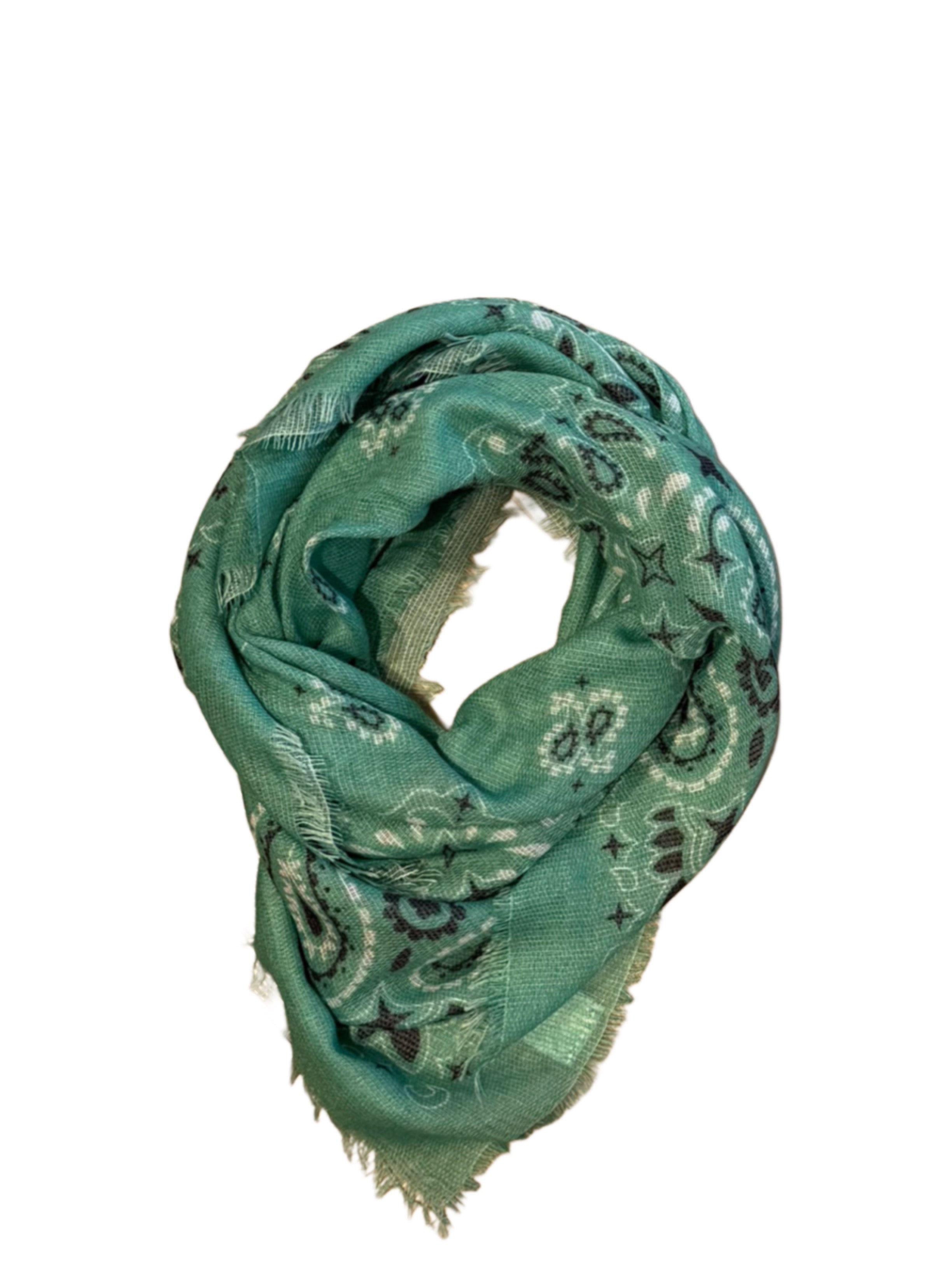 Est Voilà - Sjaal Fee Paisley Emerald Sjaals - Est Voilà